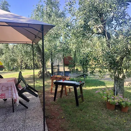 Olive's House Vakantiehuis Skala Rachoni (Thasos)