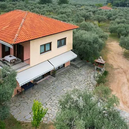 Olive's House 別荘 Skala Rachoni (Thasos)