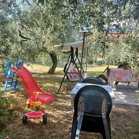 Casa vacanze Olive's House